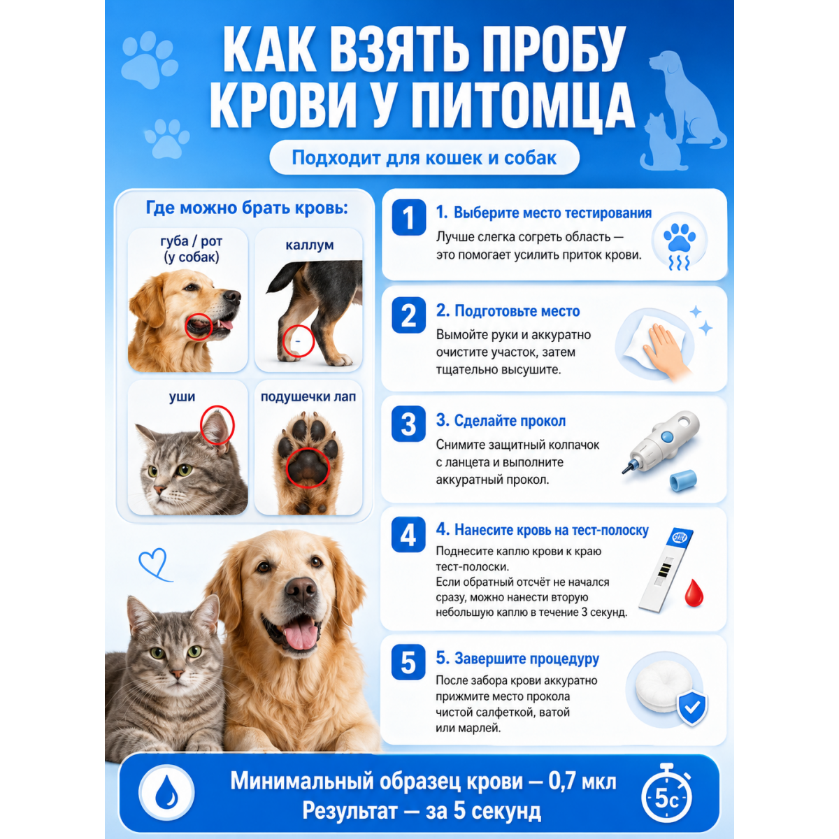Домашний глюкометр для кошек и собак