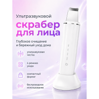 Ультразвуковой скраббер для лица ANLAN с подставкой