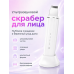 Ультразвуковой скраббер для лица ANLAN с подставкой
