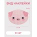 Пластырь от храпа детский на рот для дыхания носом с отверстием «Свинка», 30 шт