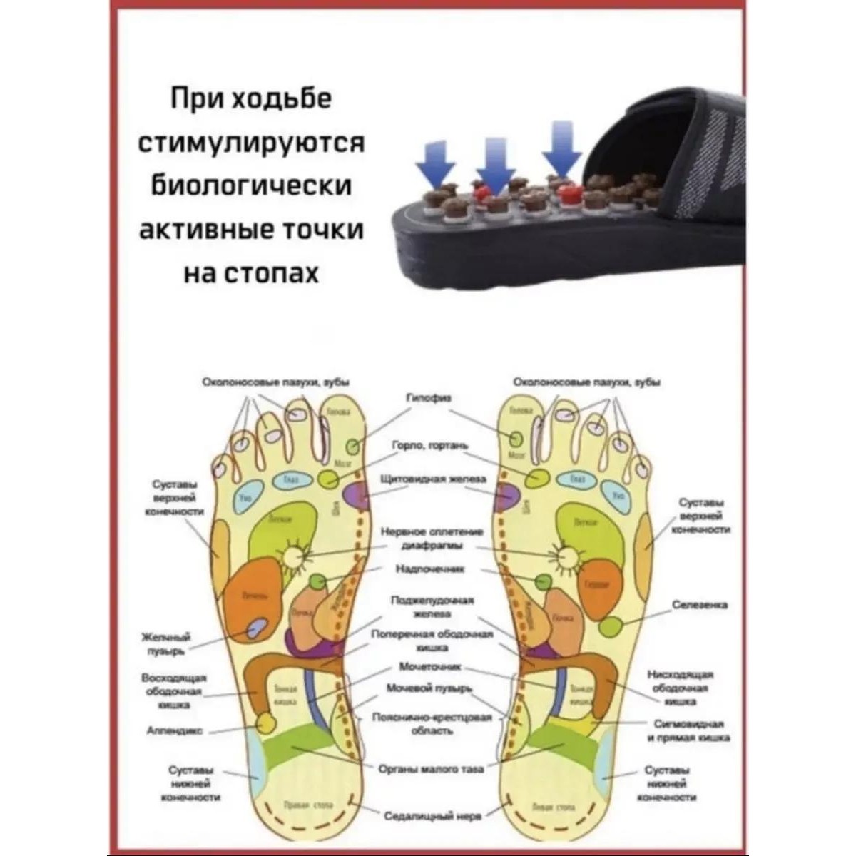 Шлепки массажные тапки рефлекторные, 44-45 р-р