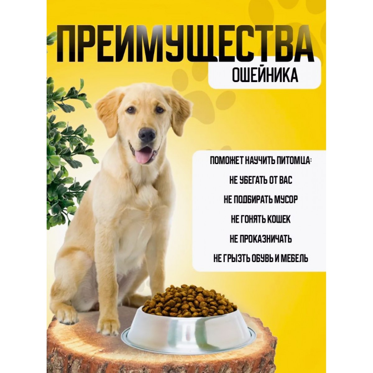 Дрессировочный водонепроницаемый электронный ошейник для собак
