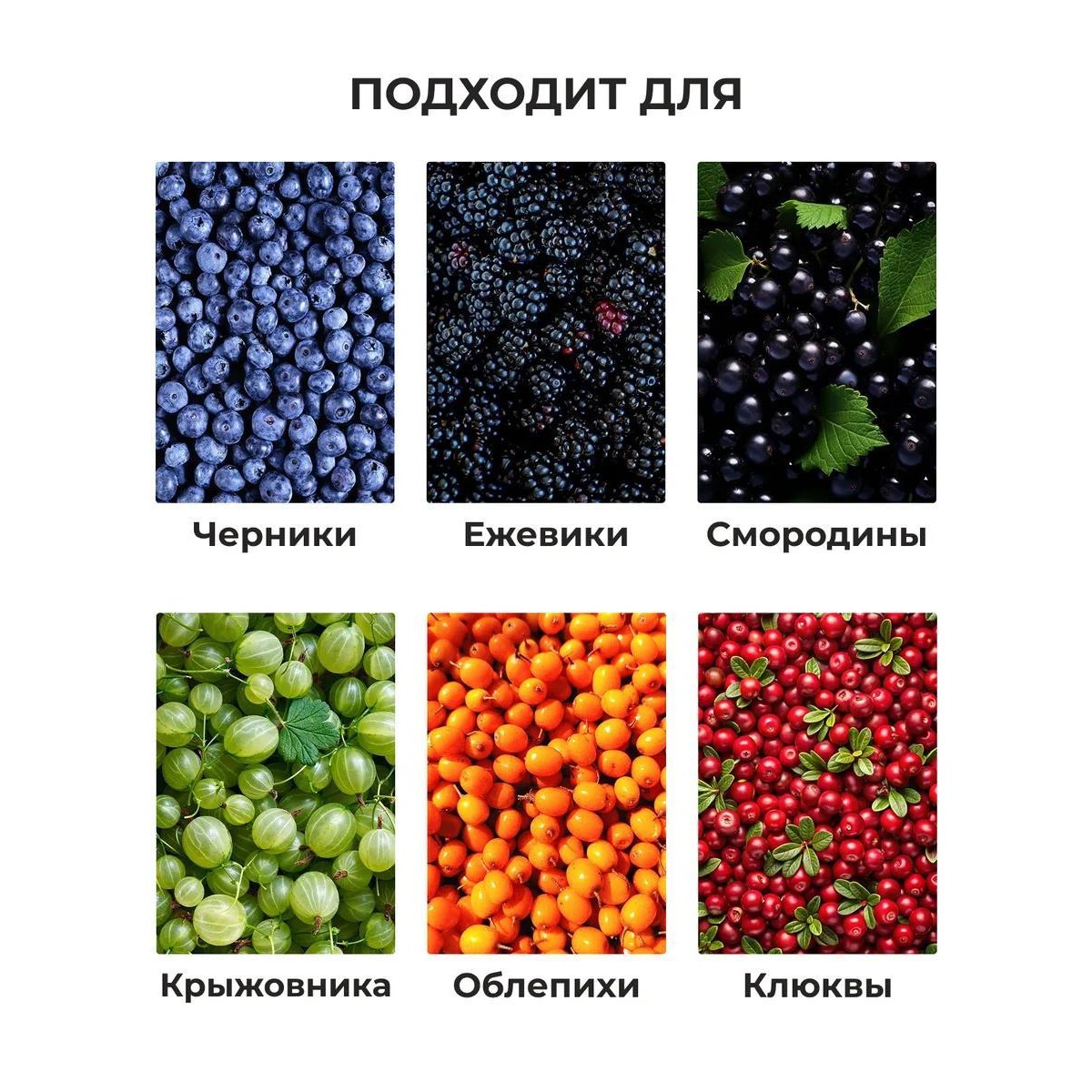 Комбайн для сбора ягод плодосборник