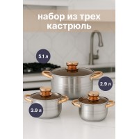 HausRoland PremiumSteel HR172-2 — набор кастрюль 2.9 / 3.9 / 5.1 л